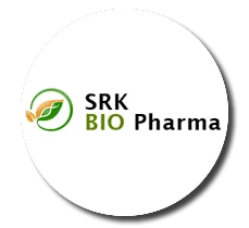 kk | Web Development Company In Hyderabad | MK DIGITALMARE